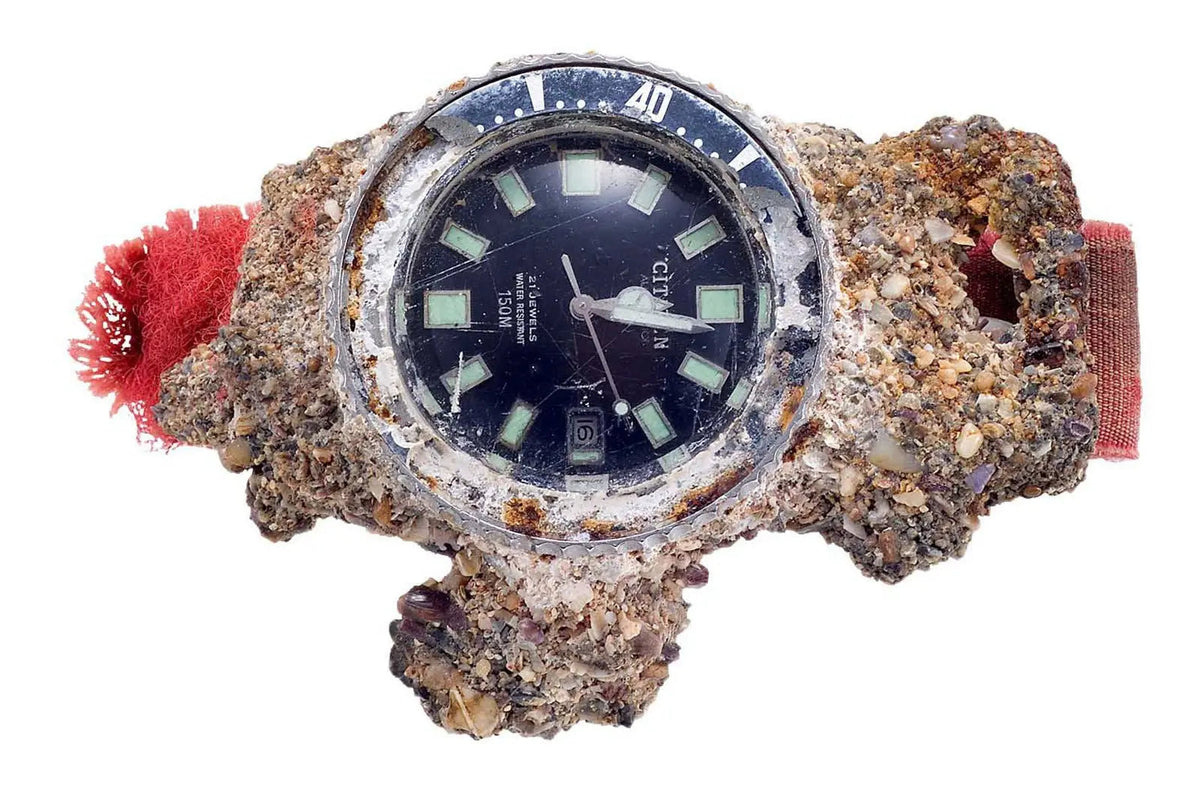 CITIZEN WATCH FUJITSUBO MARINE PROMASTER CHALLENGE 41MM NB6021-68L