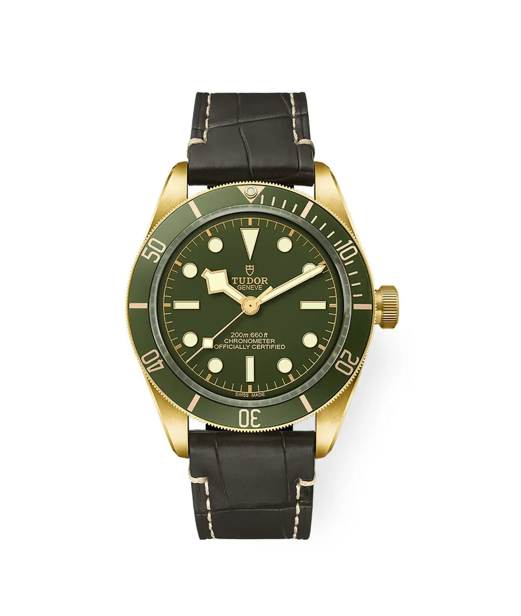 TUDOR Watch Black Bay 58 18K 39mm M79018V-0001