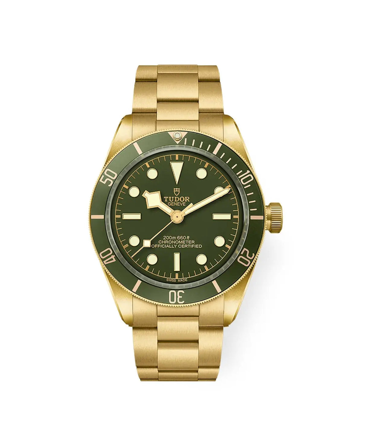TUDOR Watch Black Bay 58 18K 39mm M79018V-0006