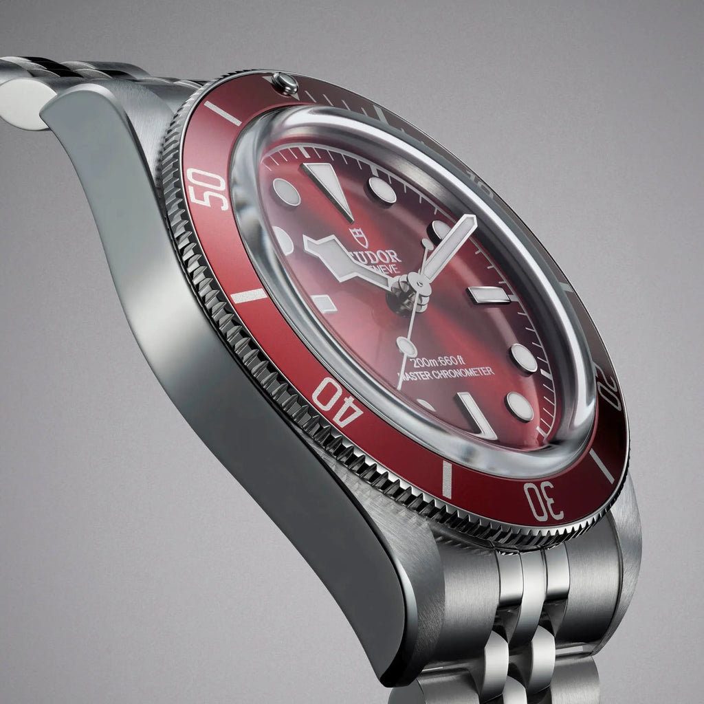 TUDOR Watch Black Bay 58 39mm M7939A1A0RU-0001