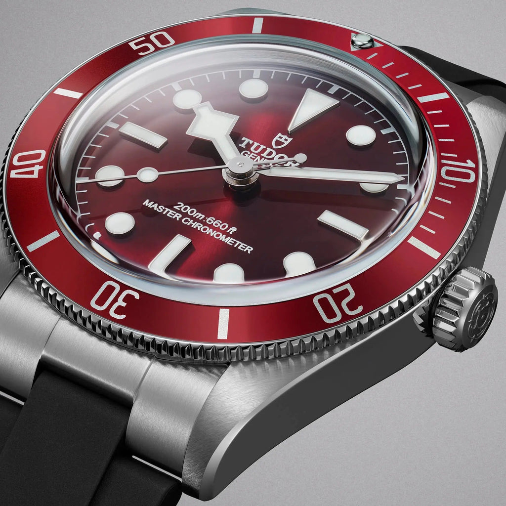 TUDOR Watch Black Bay 58 39mm M7939A1A0RU-0003