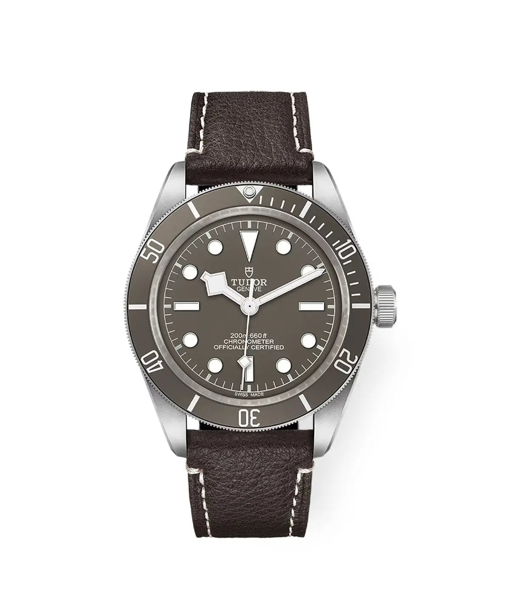 TUDOR Watch Black Bay 58 925 39mm M79010SG-0001