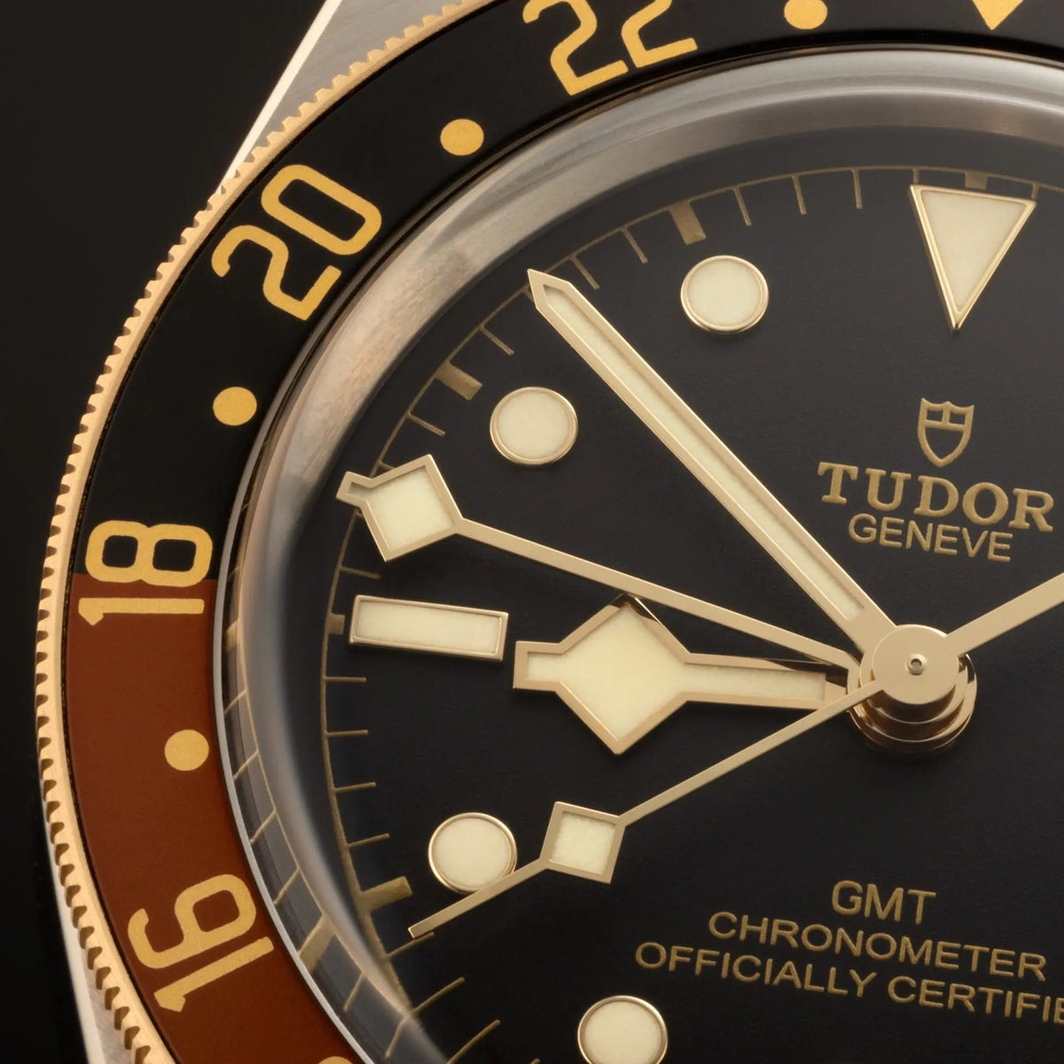 TUDOR Watch Black Bay GMT S&G 41mm M79833MN-0003